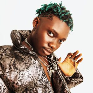 ab6761610000e5ebd1ee2764e1bdd795b5672e5a-300x300 Olivetheboy – Spidomita