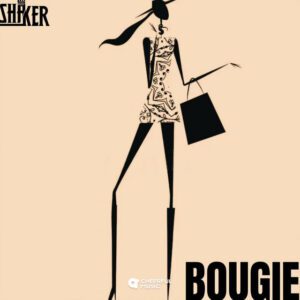 Download-Mp3-Shaker-Bougie-mp3-image-300x300 Shaker – Bougie