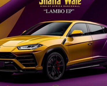 Shatta Wale – Are You Sure